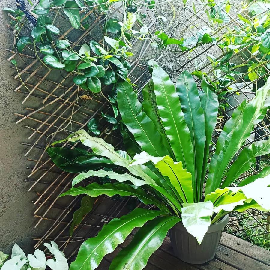 보라 보라 Tiki House 빌라 외부 사진