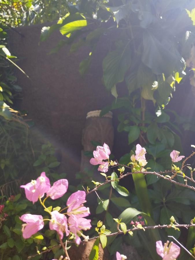 보라 보라 Tiki House 빌라 외부 사진